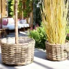 Rangements Déco·Paniers / Boîtes De Rangement|Caches-Pots|Cache-pot bas pour grandes plantes, en rotin (lot de 2)