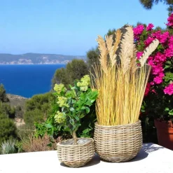 Rangements Déco·Paniers / Boîtes De Rangement|Caches-Pots|Cache-pot en rotin, forme boule (lot de 2)