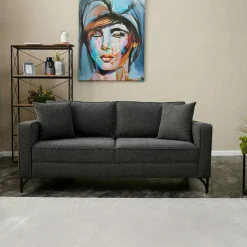 NEOLIA Canapés En Tissu|Canapé 2 places gris foncé moderne, pieds dorés