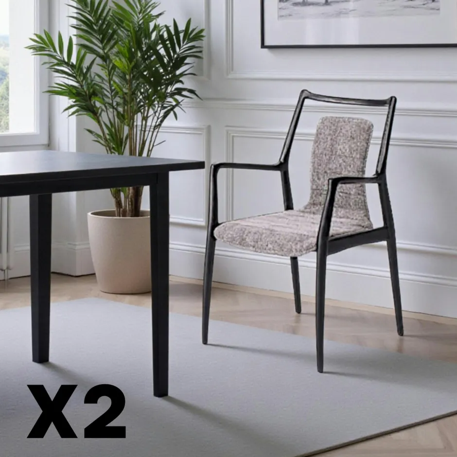 Chaises En Bois|Chaises Contemporaines|Chaise design anthracite à structure noire (lot de 2) ALDER