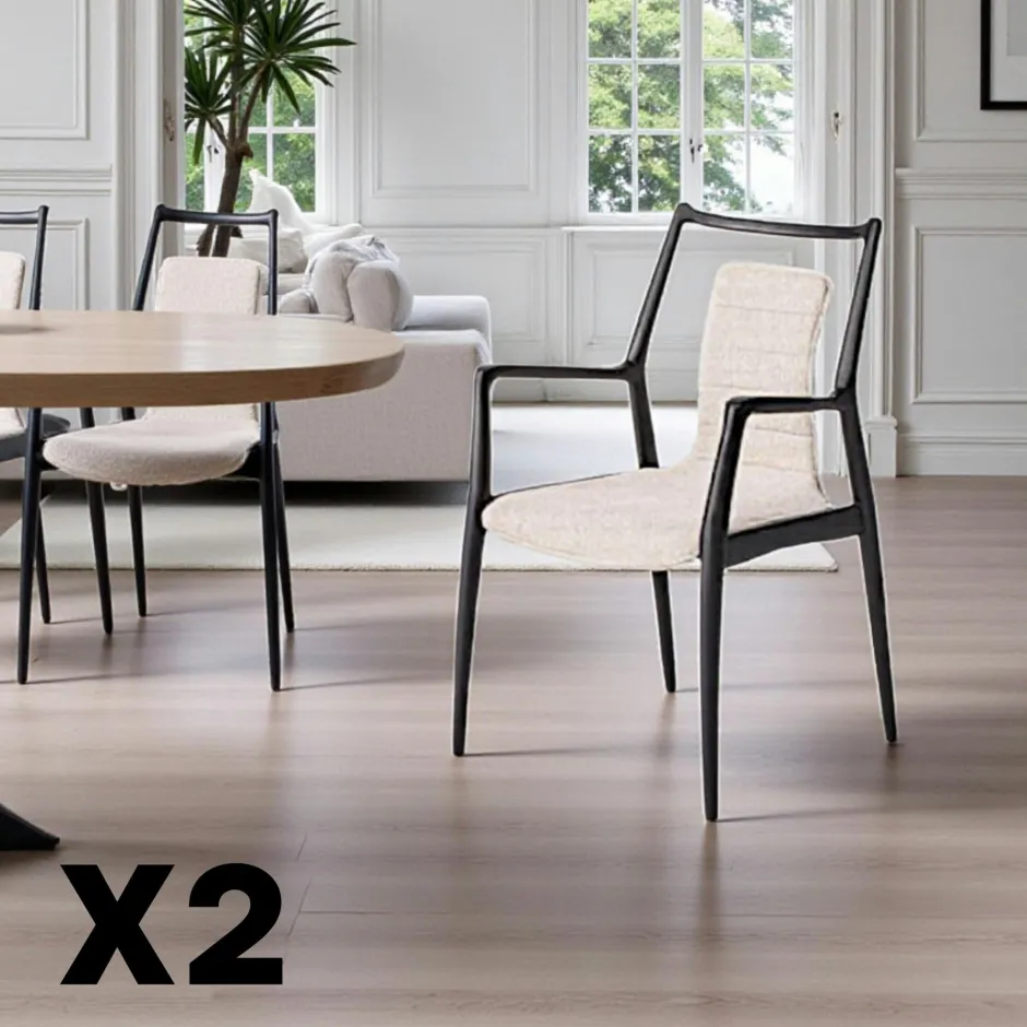 Chaises En Bois|Chaises Contemporaines|Chaise design anthracite à structure noire (lot de 2) ALDER