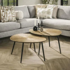 RALF Tables Basses Vintage|Tables Basses Gigognes|Table basse organique, feuille de ginkgo stylisée (lot de 2)