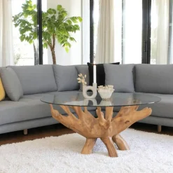 Arizona Tables Basses En Verre|Tables Basses Rondes|Table basse ronde en racine de teck Ø110 cm - plateau verre